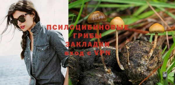 экстази Нязепетровск