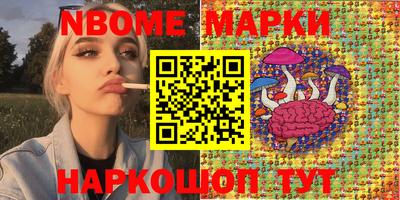 шишки Дубна