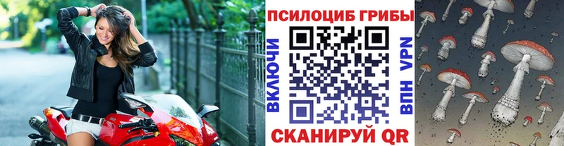 ОМГ ОМГ ONION  Костомукша  Галлюциногенные грибы прущие грибы 