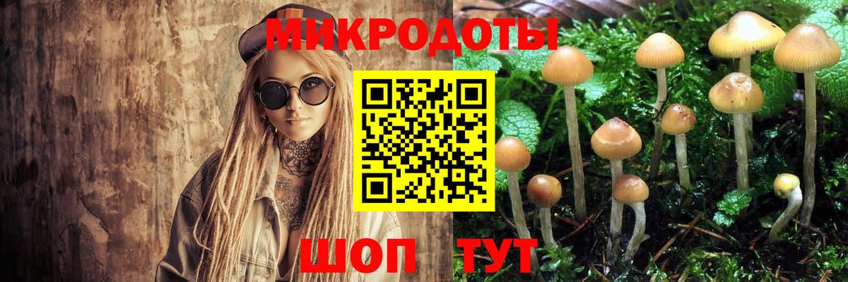 Галлюциногенные грибы ЛСД Костомукша