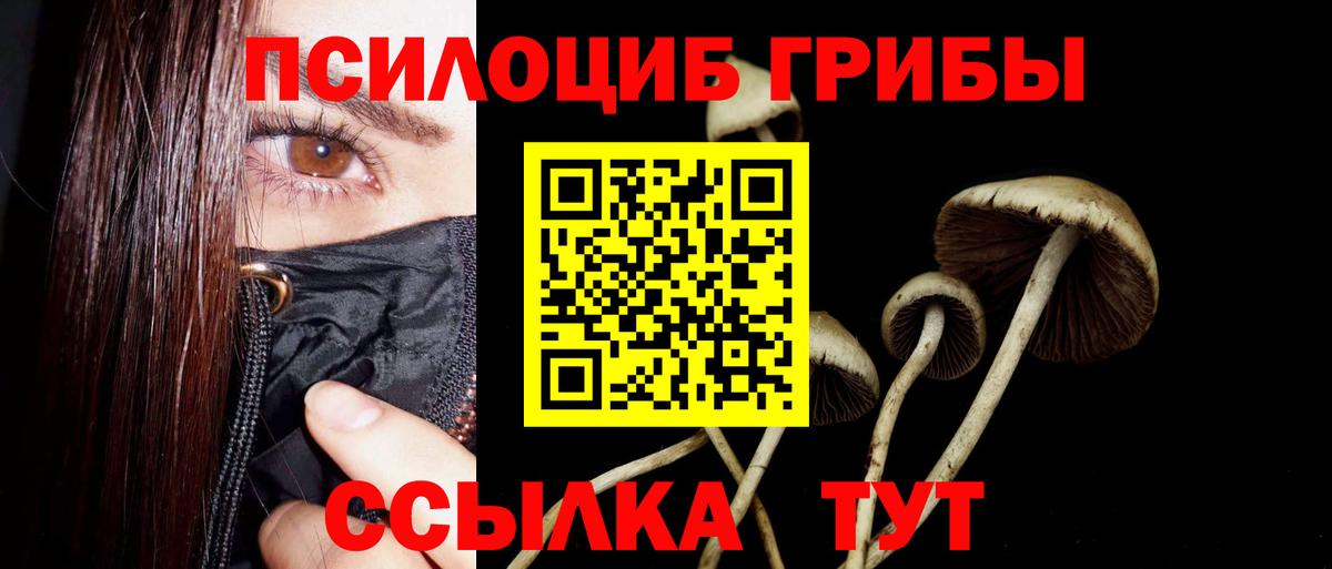 Галлюциногенные грибы Cubensis  Вход с VPN  Костомукша  Галлюциногенные грибы прущие грибы 